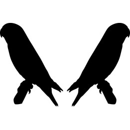 Buy Parakeet 2 Decal Sticker Online