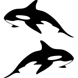 Orca Killer Whale Stickers – Sea Life Decals (2-Pack)