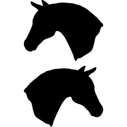 Buy Oldenburg Horse Vinyl Decal Sticker Online