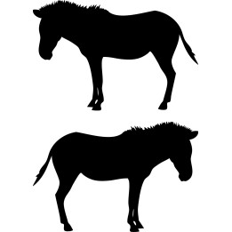 Zebra Vinyl Decal Sticker V11 - DecalsHouse