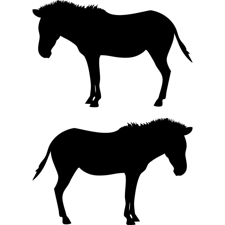 Zebra Vinyl Decal Sticker V11 - DecalsHouse