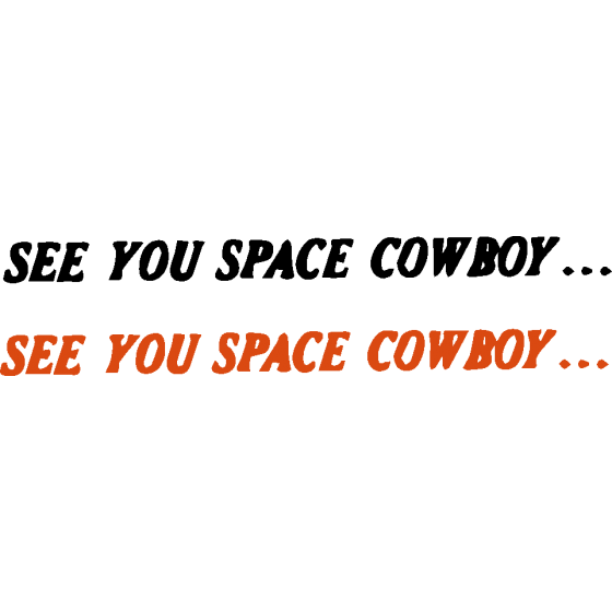 2x Cowboy Bebop See You...