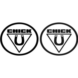 Buy Chick Magnet Decal Sticker Online