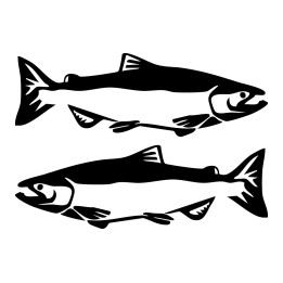 Salmon Vinyl Decal Sticker V10 - DecalsHouse