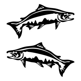 Salmon Vinyl Decal Sticker V11 - DecalsHouse