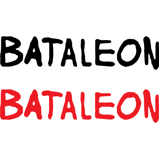 2x Bataleon Disaster Text...