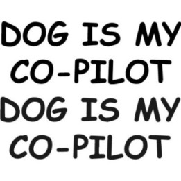 Buy Dog Is My Co Pilot Decal Sticker Online