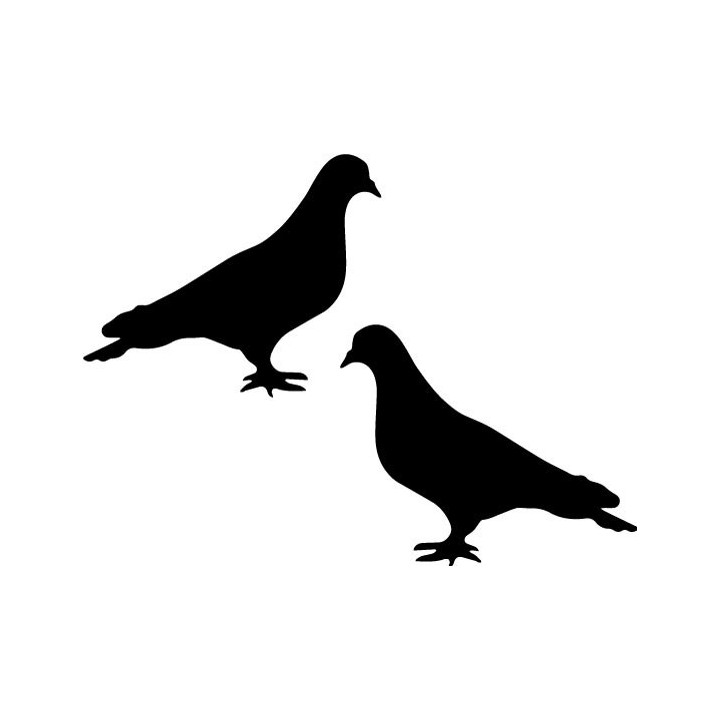 Buy Duif 4 Decal Sticker Online