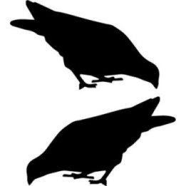 Buy Duif 5 Decal Sticker Online