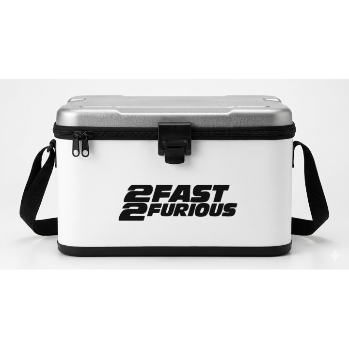 2 Fast 2 Furious Stickers – Fast & Furious Decals (2-Pack)