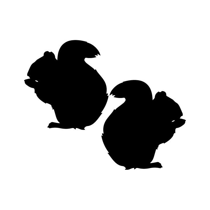 Buy Eekhoorn Decal Sticker Online