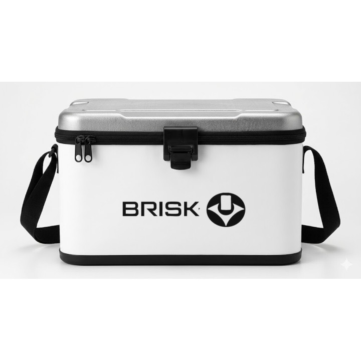 Buy Brisk S Decal Sticker Online