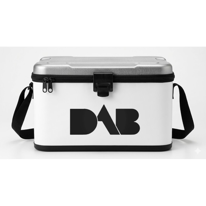 DAB Digital Radio Stickers – Car Audio Decals (2-Pack)