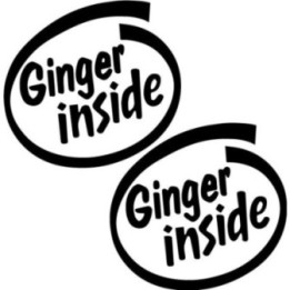 Buy Ginger Inside Sticker Online