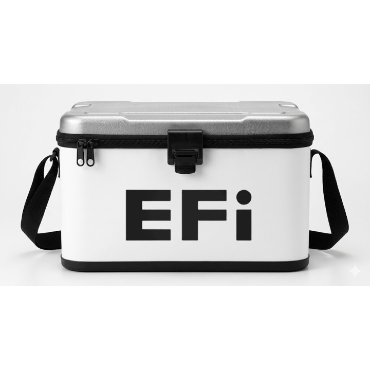 Buy Efi Decal Sticker Online