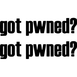 Got Pwned? Gaming Stickers – Gamer Slang Decals (2-Pack)