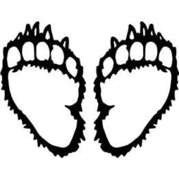 Buy Grizzly Poot Sticker Online