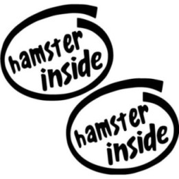 Buy Hamster Inside Sticker Online