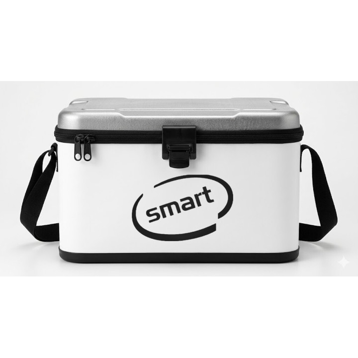 Buy Smart Oval Decal Sticker Online