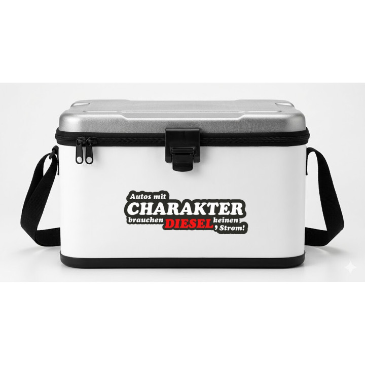 2x Cars With Character Stickers Decals - DecalsHouse