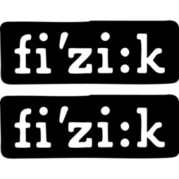 Fizik Stickers – Road MTB Saddle Brand Decals (2-Pack)
