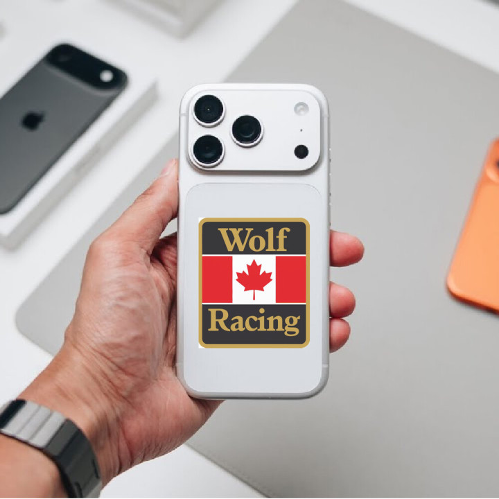 2x Walter Wolf Racing Stickers Decals - DecalsHouse