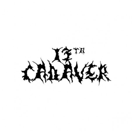 Buy 13th Cadaver Band Logo Vinyl Decal Online