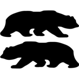 Buy Marin Bear Cycling Online