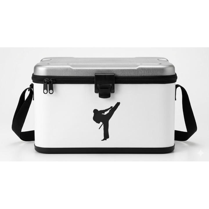 Martial Arts High Kick Stickers – Karate Taekwondo (2-Pack)