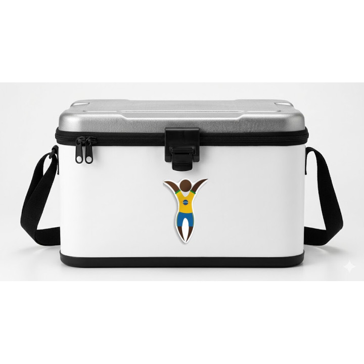Brazil Football Player Stickers – Seleção Decals (2-Pack)