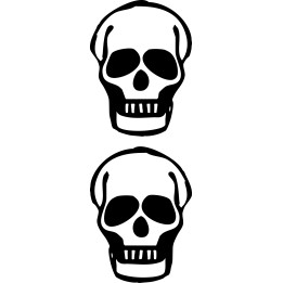 Skull Stickers – Gothic Skeleton Head Decals (2-Pack)