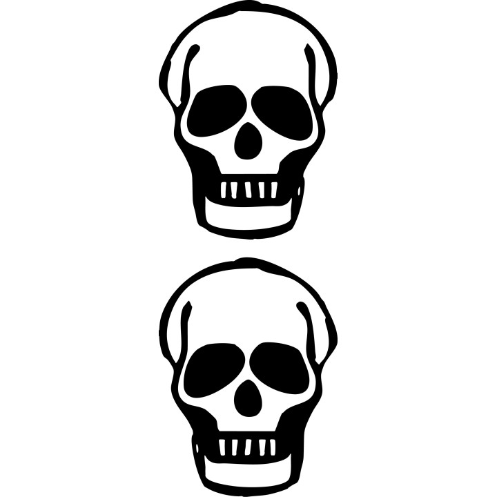 Skull Stickers – Gothic Skeleton Head Decals (2-Pack)