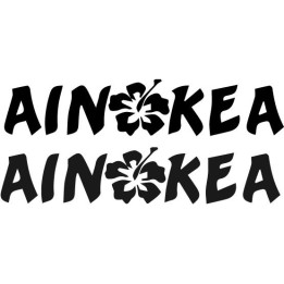 Buy Ainokea With Hisbicus Flower Decal Sticker Online