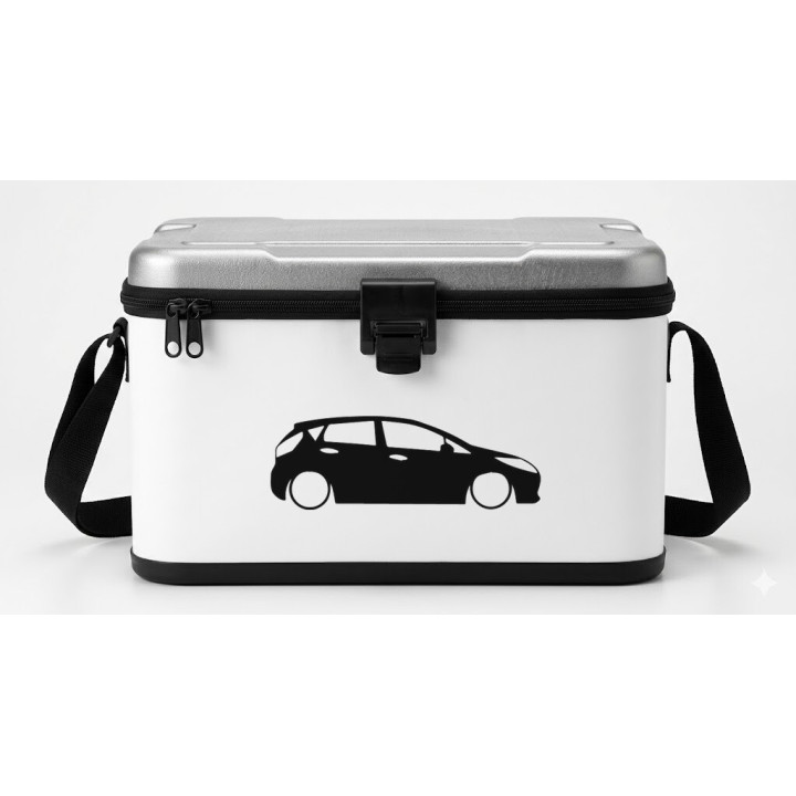 Buy Ford Fiesta Mk7 5Dr Low Sticker Online