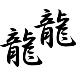 Dragon Kanji Stickers – Oriental Symbol Decals (2-Pack)