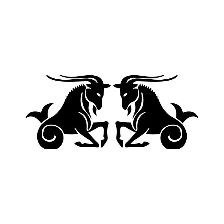 Capricorn Zodiac Stickers – Star Sign Decals (2-Pack)