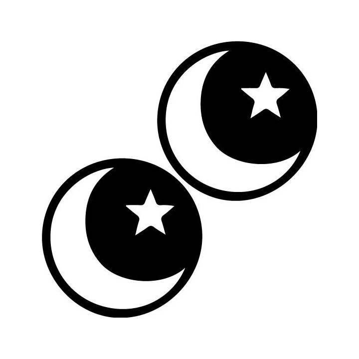 Islamic Crescent Moon & Star Stickers – Muslim Decals (2-Pack)