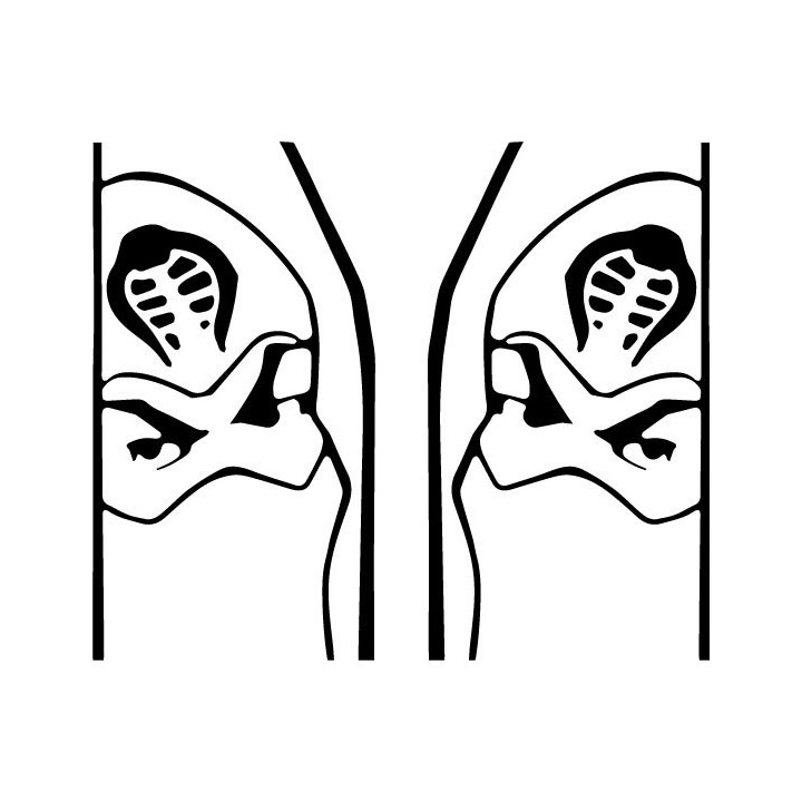 Storm Shadow Stickers – G.I. Joe Ninja Decals (2-Pack)
