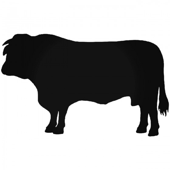 Cattle Sticker