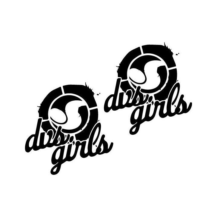 DVS Girls Stickers – Skate Fashion Decals (2-Pack)