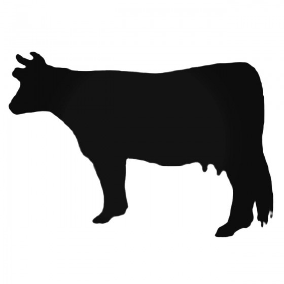 Cool Cow Decal Sticker