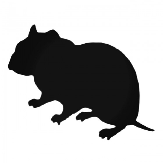 Cool Hamster Decal Sticker
