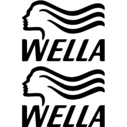 Wella Stickers – Salon Haircare Brand Decals (2-Pack)