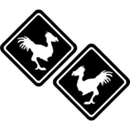 Final Fantasy Chocobo Stickers – FF7 FF14 Decals (2-Pack)