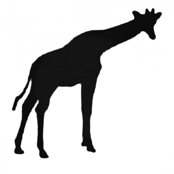 Cute Giraffe Silhouette...