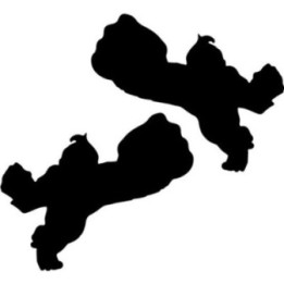 Donkey Kong Stickers – DK Nintendo Arcade Decals (2-Pack)