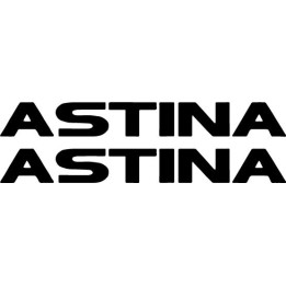 Buy Astina Vinyl Decal Sticker Online