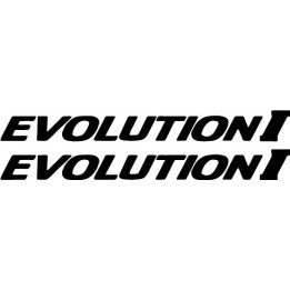 Buy Evolution I Vinyl Decal Sticker Online