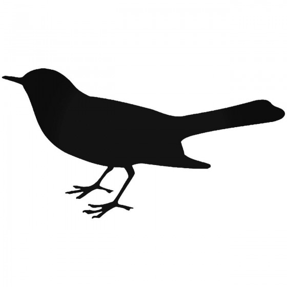 Finch Bird 2 Sticker
