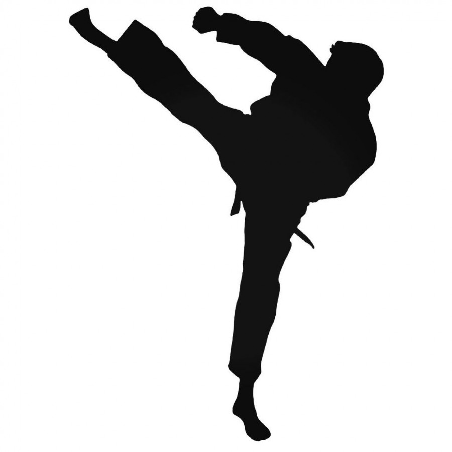 Buy Fly Karateka Kick Decal Sticker Online